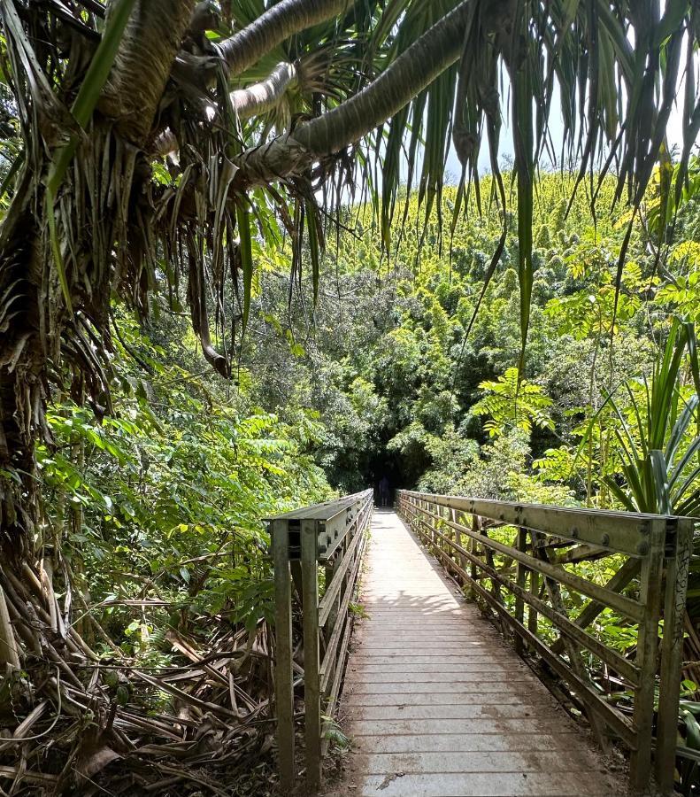 Explore Maui'S Diverse Campgrounds And Uncover The Island'S Beauty From Fresh Perspectives Every Day As You Journey With Aloha Glamp'S Great Jeep Equipped With A Rooftop Tent Paia Kültér fotó